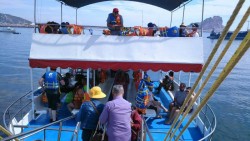 Catamaranes con alta demanda de paseos guiados