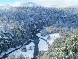 Declaran emergencia para 11 municipios de Chihuahua por nevadas