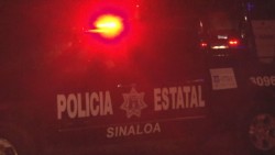 El estado no está rebasado por la violencia: SSP