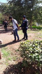 Detiene a reportero de policíaca