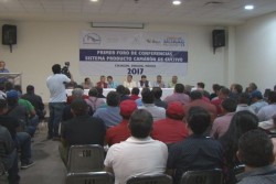 Las autoridades han dejado solos a los acuacultores