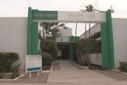 Compromete SAGARPA agilizar el registro de productores