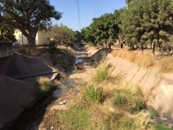 Muy sucio el arroyo del piojo en la colonia Ignacio Allende