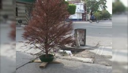 "A la mano" tendrá la gente a la JUMAPAM para denuncias