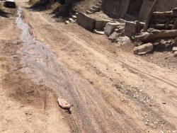 Fuga de agua por la calle 19 de septiembre