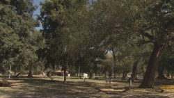 Entre el olvido y el descuido La Isla de Orabá
