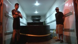 Temporal el resguardo de tiburones en Acuario de Guadalajara