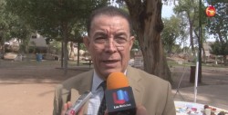Anuncian campaña esterilización canina