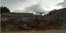 Se quejan de lote baldío en Chulavista