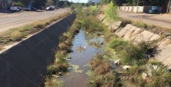 Arroyo luce con basura