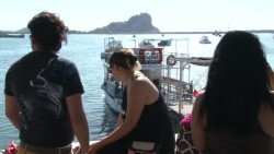 Turistas prefieren paseos por la bahía