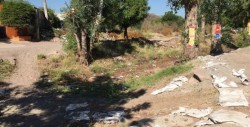 Temen por malas condiciones del arroyo