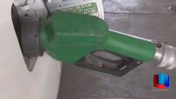 Baja dos centavos gasolina