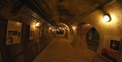 ¿Has visitado algún museo raro ?