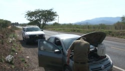 Ángeles verdes entre éxodo de turistas y llamadas falsas