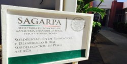 Obligatorio inscribirse en SAGARPA para pagar a semilleros