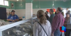 Aumentan ventas en las pescaderías