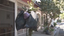 Continúa sin servicio de recolección de basura la 21 de marzo