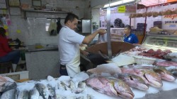 Incrementa venta de mariscos en mercados tras el inicio de la cuaresma.