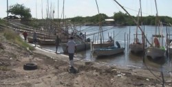 Aportan al abasto de pescado para Cuaresma