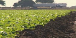Ya empezaron a caer los primeros recursos a productores