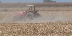 Plantean reformar ASERCA para regular comercialización
