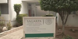 Se manifestarán productores el 15 de marzo en SAGARPA