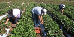 Precios al productor aumentan 0.58% en febrero: INEGI