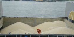 Varadas más de 20 mil toneladas de azúcar mexicana para EU