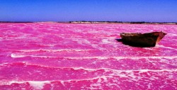 Agua de lago australiano es de color rosa
