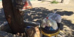 Lomas de San Isidro, otro sector que está inundado de basura