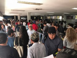 Lleno de contribuyentes recaudación de rentas
