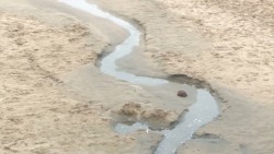 Aguas negras provoca fétidos olores en zona de playa