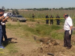 Encuentran cuerpo semi enterrado en Villa Juárez