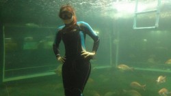Esperan romper récord de visitas en Acuario