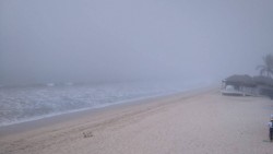 Neblina cubre totalmente la vista de la bahía