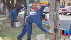 Remozan boulevares y calles en Navojoa