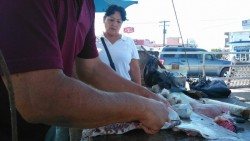 Aumenta venta de pescados y mariscos