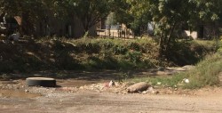 Con olores fétidos en arroyo de la colonia Progreso