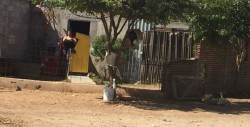 Se acumula la basura en la Progreso