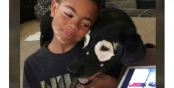Perro con vitiligo devuelve autoestima a niño de 8 años