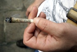 Alto el consumo de mariguana, en Sinaloa: CIJ
