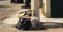 En Bachigualato con mucha basura