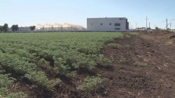 México importante productor de alimentos para Estados Unidos