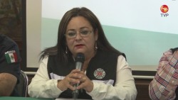 Coordinados cuerpos de auxilio