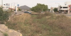 Lleno de ramas arroyo en Rincón Real