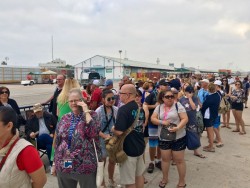Se suman miles de turistas navieros a los "semanasenteros"