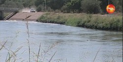 Detectan Caimán en canal bajo
