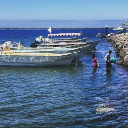 Opción turística, paseos en lancha en Altata
