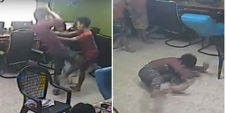 Terror en el cibercafé: una serpiente entra y ataca a un cliente